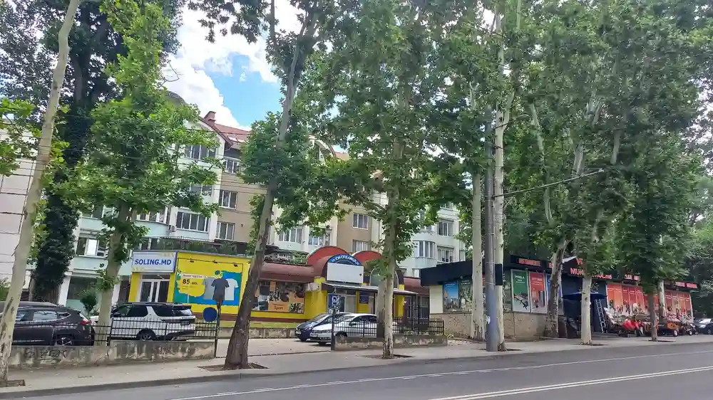 avocat chisinau